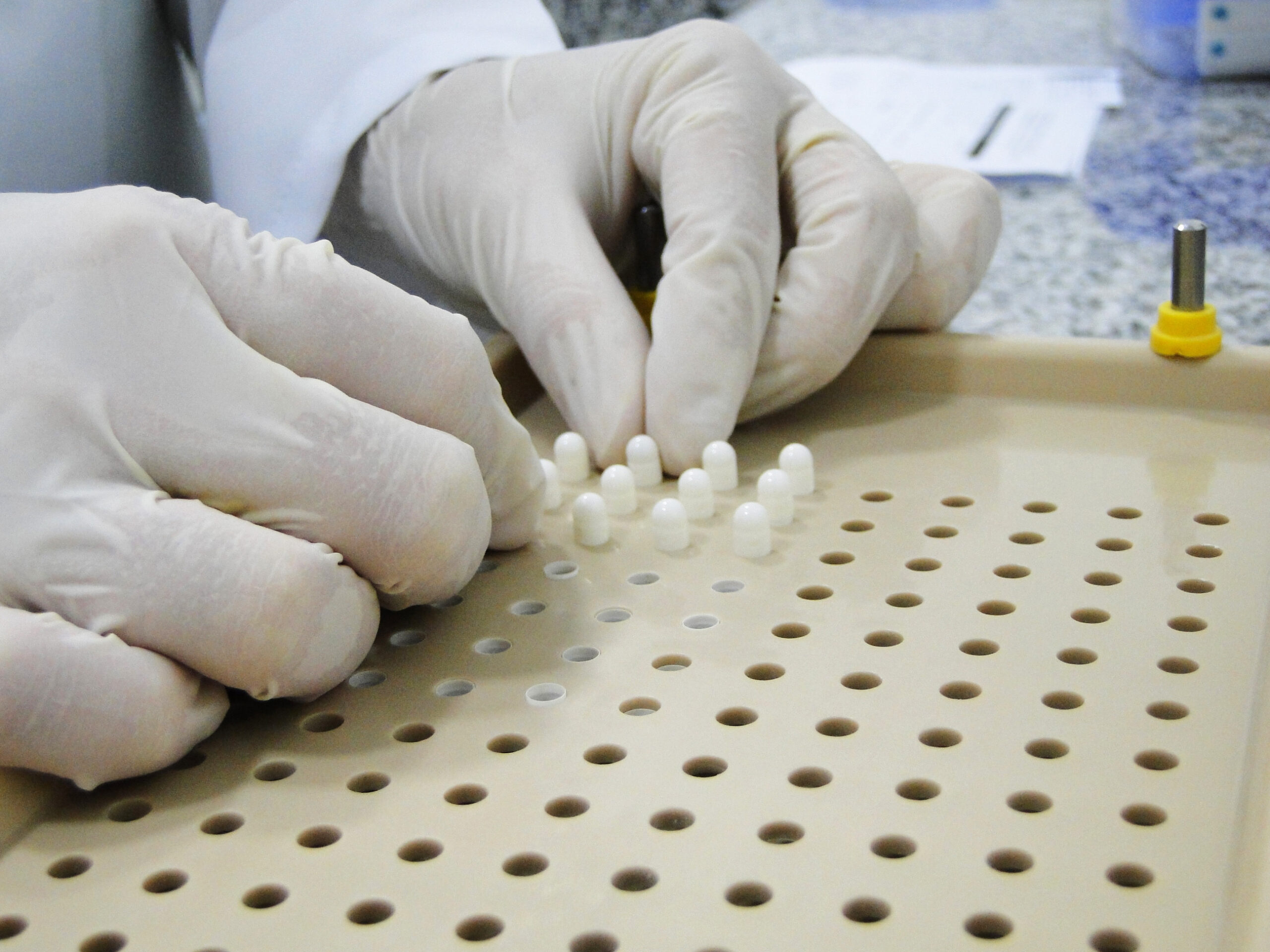 farma-pet-brasil-9-scaled.jpg